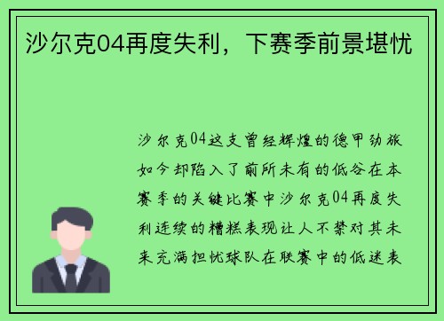 沙尔克04再度失利，下赛季前景堪忧
